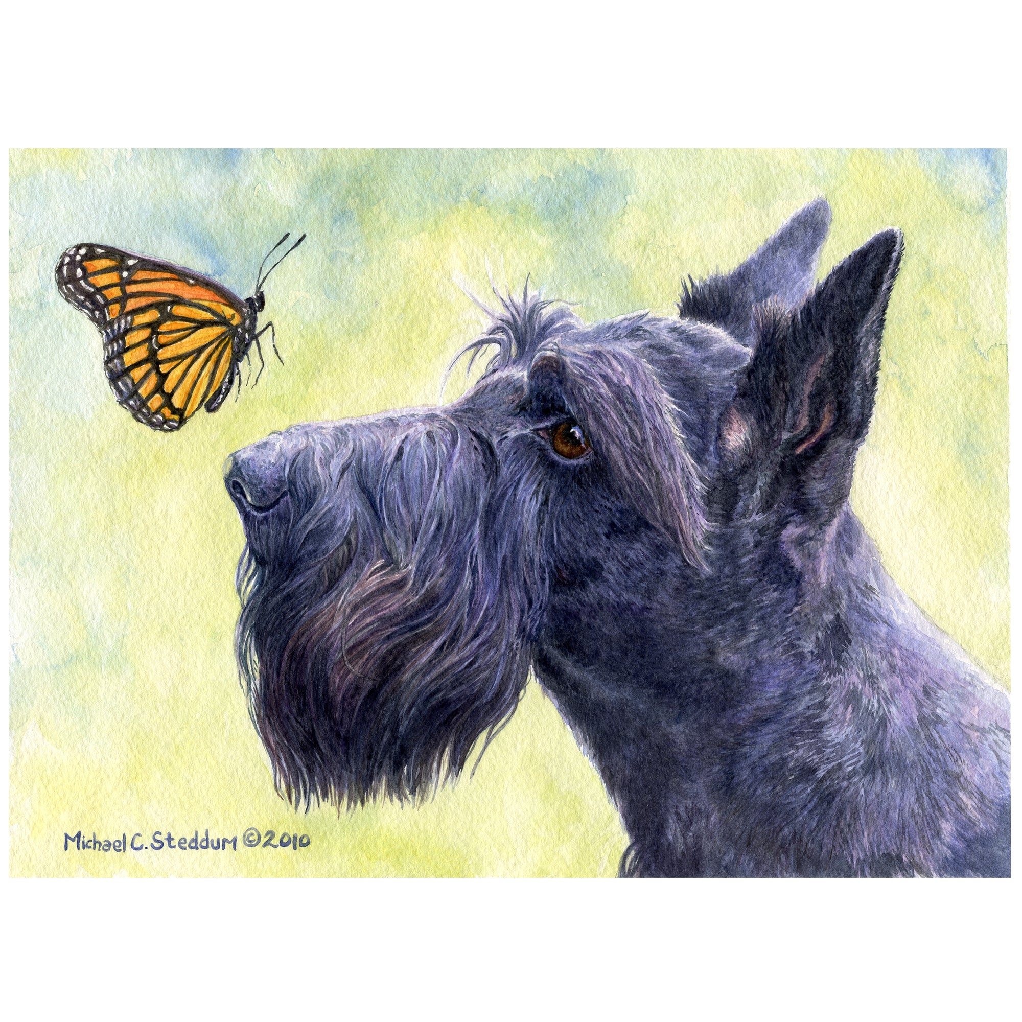 Scottish Terrier Art Reproduction Print - "Close Encounters" by Michael Steddum - Limited Edition Signed and Numbered Scottish Terrier Art Print - A Great Scottie Gift