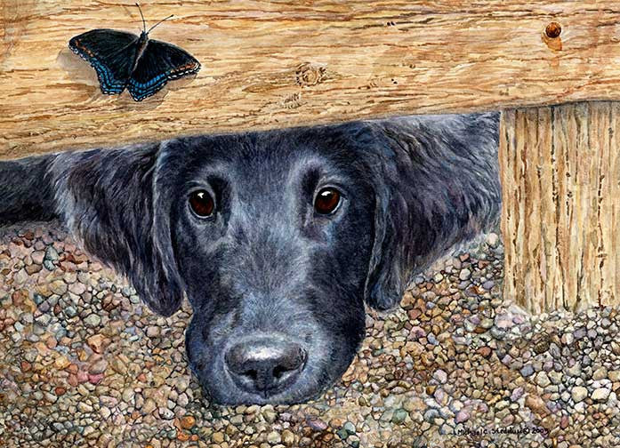"Get It" A Limited Edition Flat Coated Retriever Print
