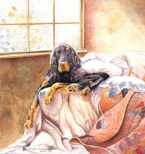 "Gordon on the Bed" A Limited Edition Gordon Setter Print