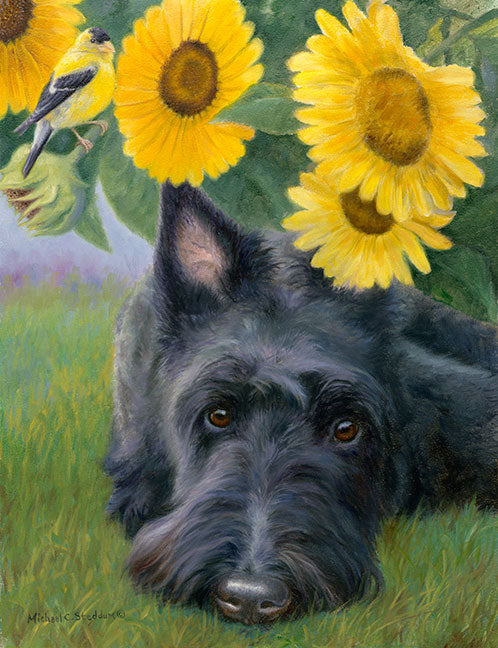 "Bird Droppings" A Limited Edition Scottish Terrier Print