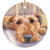 IRISH TERRIER CERAMIC ORNAMENT IN A GIFT BOX BY MICHAEL STEDDUM (Watching & Waiting) Awesome Irish Terrier Christmas Gift