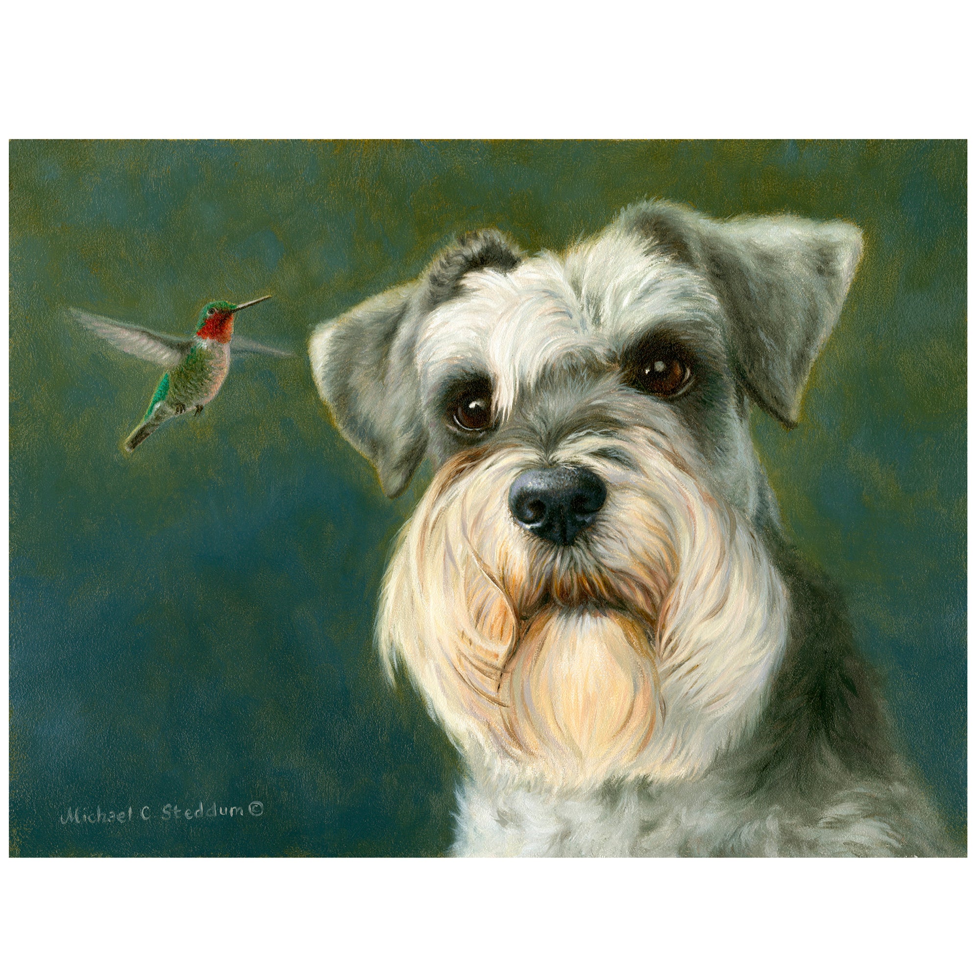 "The Visitor" A Schnauzer Art Reproduction Print by Michael Steddum - Limited Edition Signed and Numbered Schnauzer Art Print - Ideal for a Schnauzer Gift