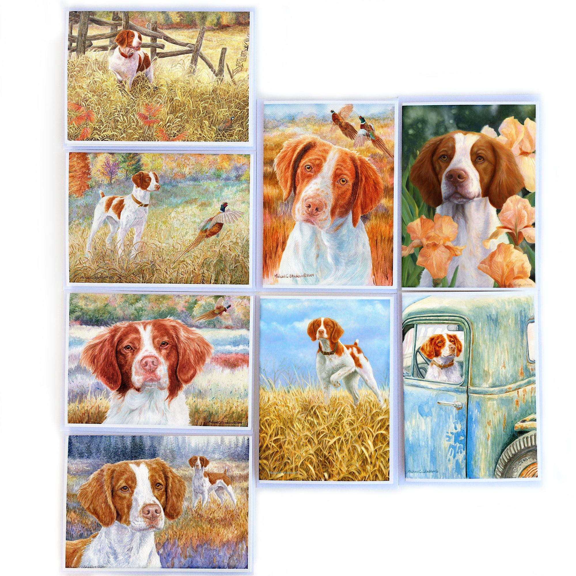 Brittany 8 Pack Notecard Set by Michael Steddum - 5" x 7" -A Perfect Brittany Greeting Card Set