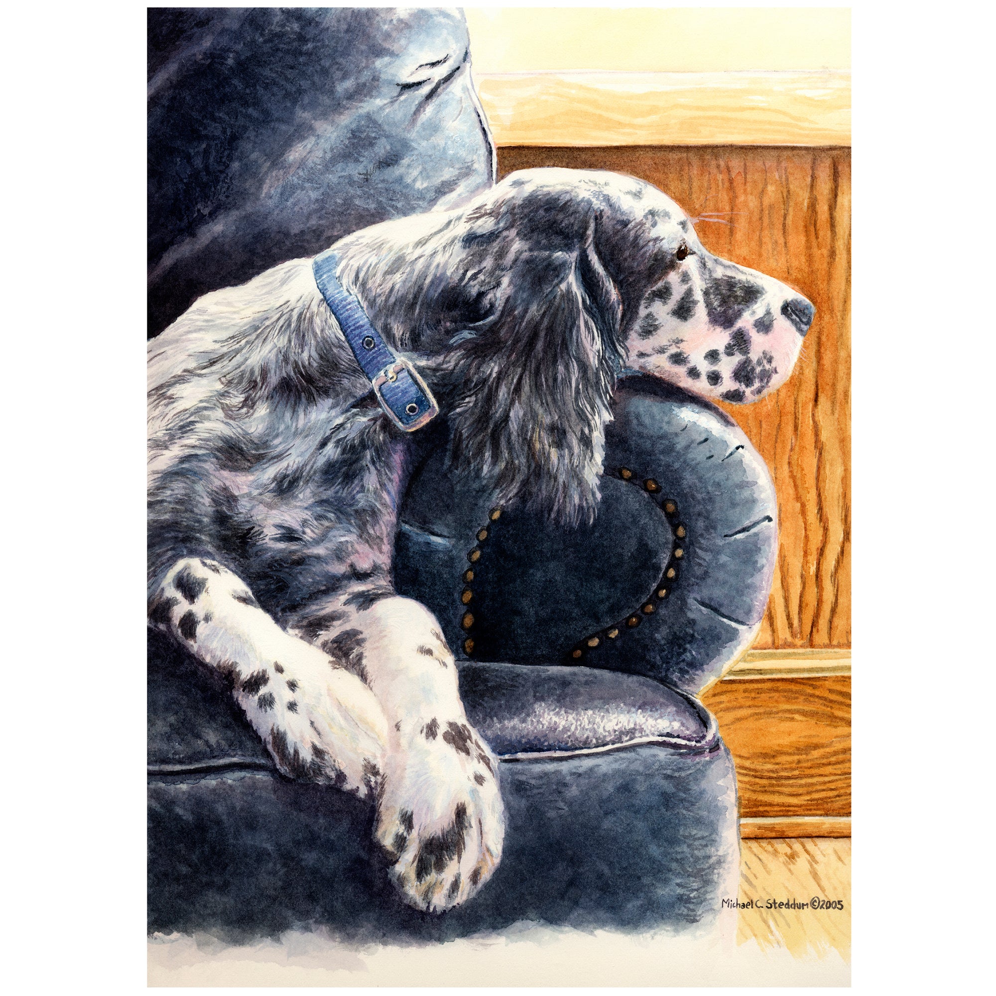 English Setter Art Reproduction Print – Couch Potato by Michael Steddum - Limited Edition Signed and Numbered English Setter Art Print - Ideal for a English Setter Gift