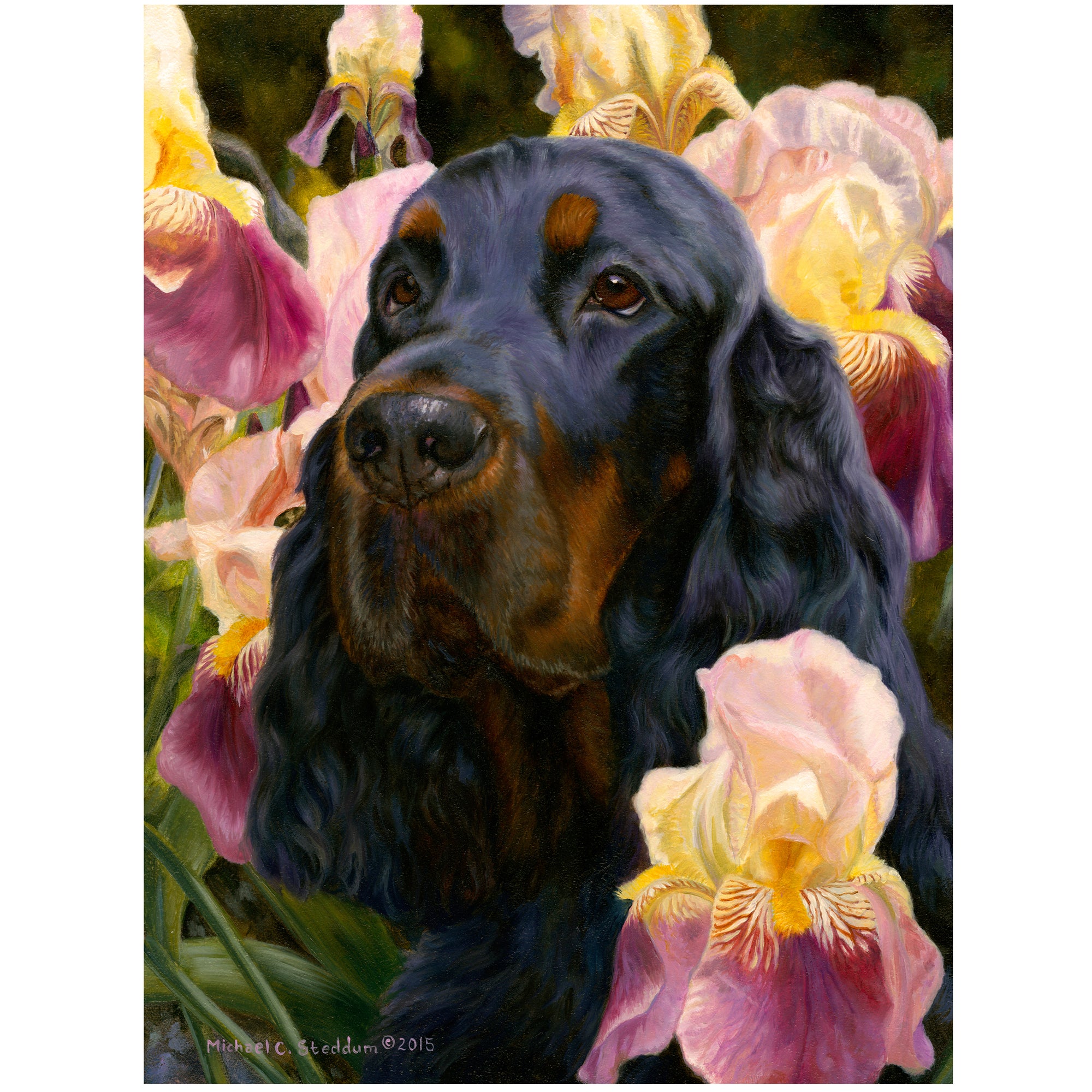 Gordon Setter Art Reproduction Print – “Grace & Beauty” by Michael Steddum - Limited Edition Signed and Numbered Gordon Setter Art Print