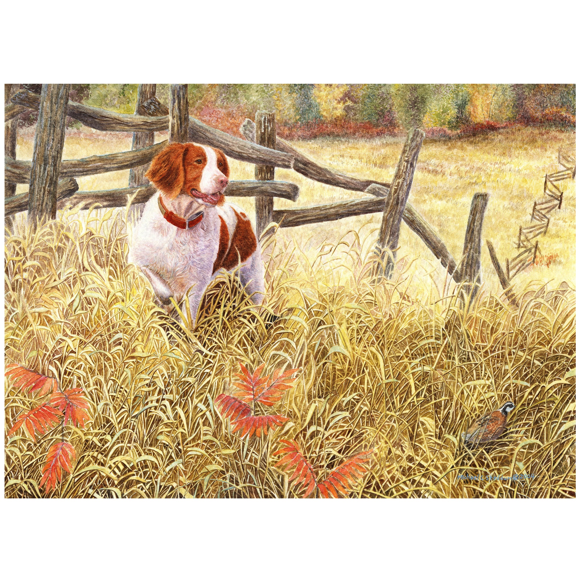 Brittany Art Reproduction Print – “Brittany and Quail” by Michael Steddum - Limited Edition Signed and Numbered Brittany Dog Art Print