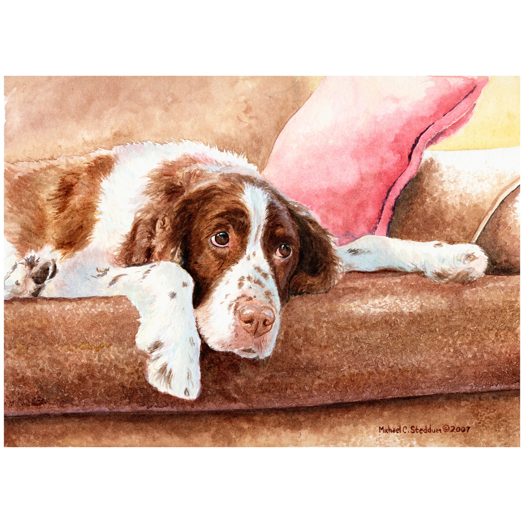 Springer Spaniel Art Reproduction Print – “Resting” by Michael Steddum - Limited Edition Signed and Numbered Springer Dog Art Print
