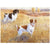 Brittany Art Reproduction Print – “Brittany Pair” by Michael Steddum - Limited Edition Signed and Numbered Brittany Dog Art Print - Ideal for a Brittany Gift