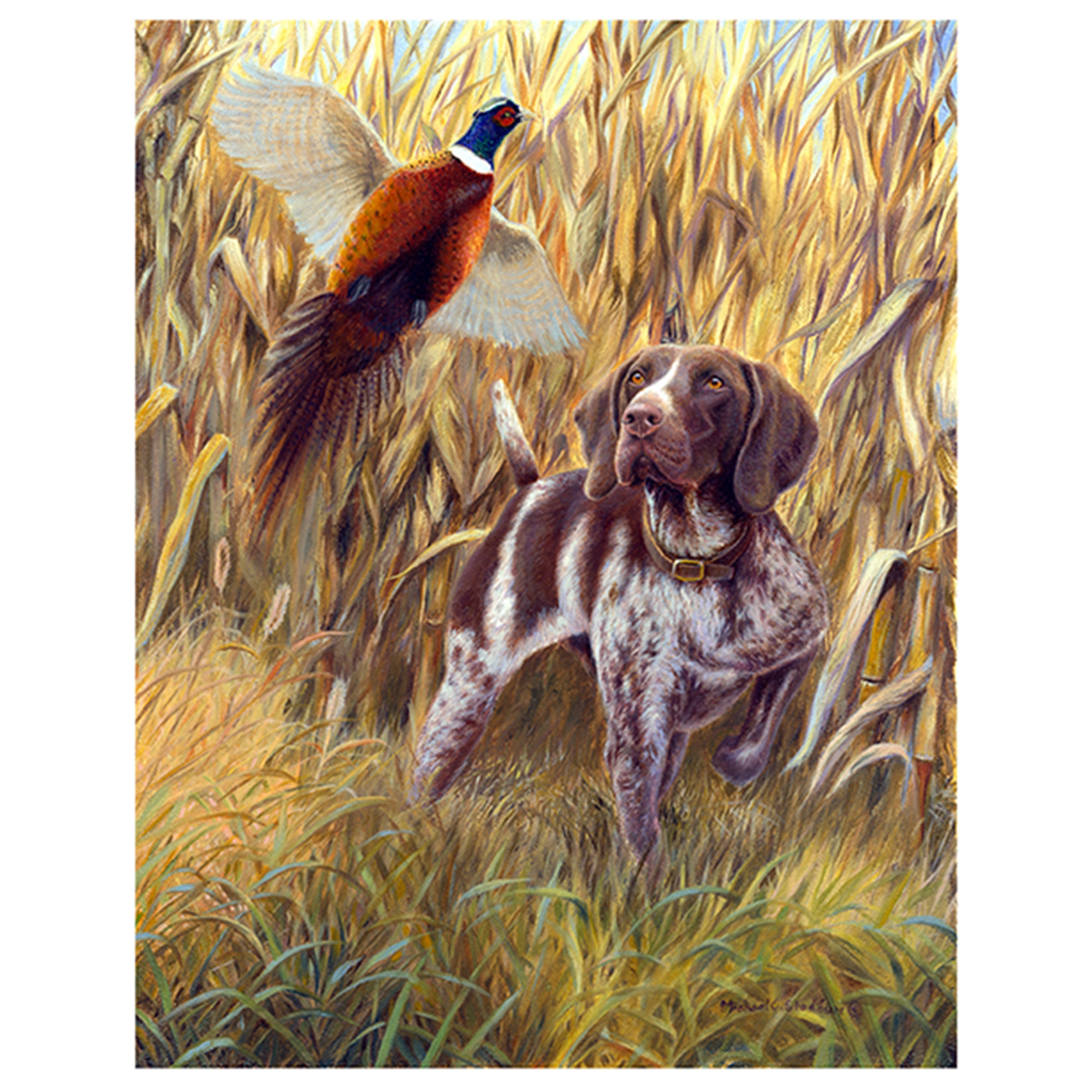 "Steady to Wing" A Limited Edition German Shorthaired Pointer Print