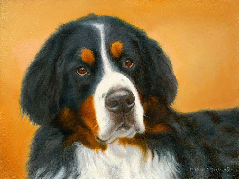 "Bernese Mountain Dog Oil Study" Limited Edition Print