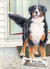 "Bernese Paper Boy" A Limited Edition Bernese Mountain Dog Print