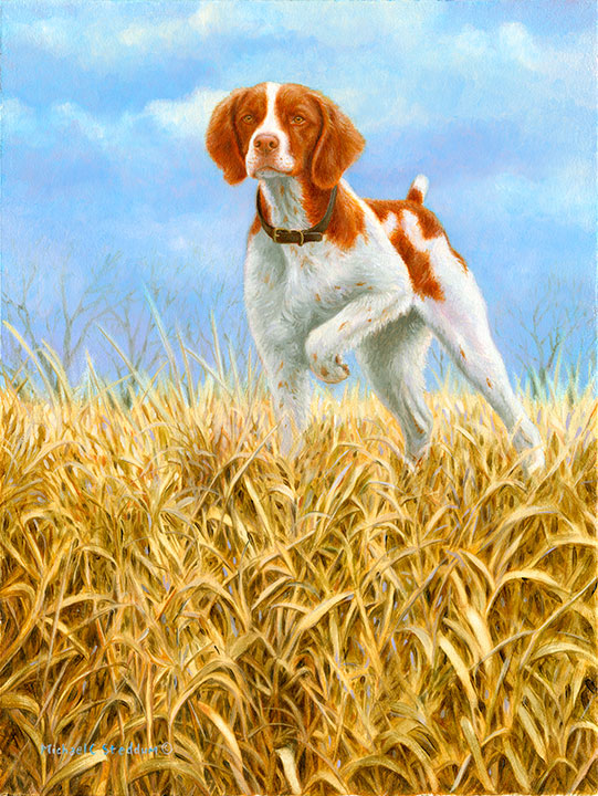 "Classic" A Limited Edition Brittany Print