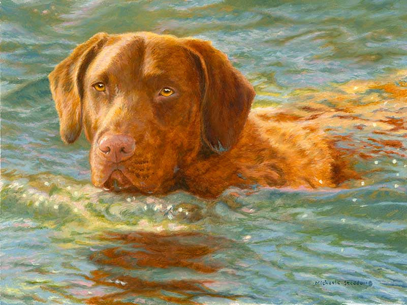 "On Mission" A Limited Edition Chesapeake Bay Retriever Print