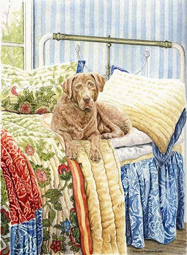 "Chesapeake on the Bed" A Limited Edition Chesapeake Bay Retriever Print