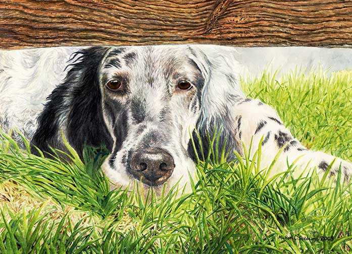 "Missing You" A Limited Edition English Setter Print