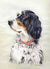 "English Setter Head Study" A Limited Edition Print