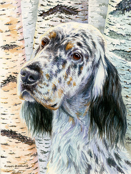 "Birches" A Limited Edition English Setter Print