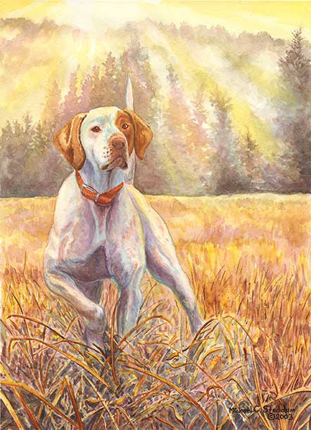 English Sunrise, A Limited Edition Pointer Print