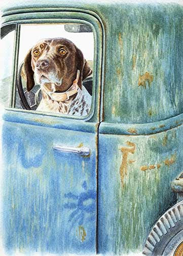 "Ready, Willing & Able" A Limited Edition German Shorthaired Pointer Print