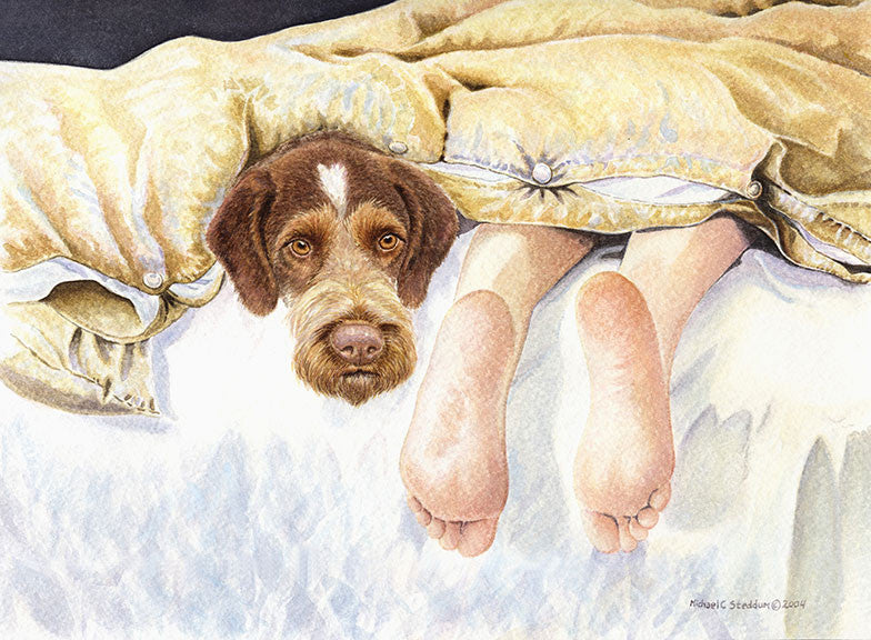 "GWP Feet" A Limited Edition German Wirehaired Pointer Print