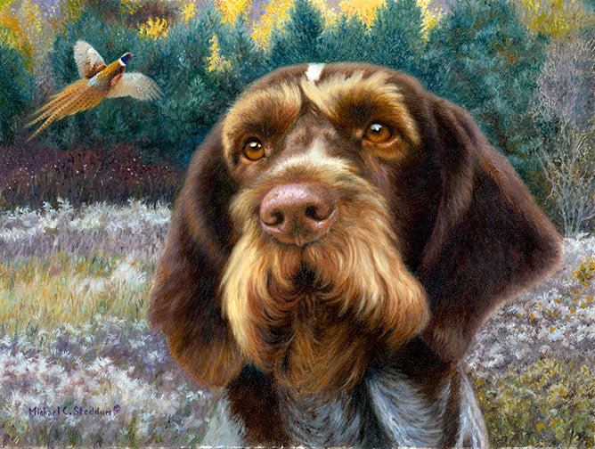 "GWP Oil" A Limited Edition German Wirehaired Pointer Print