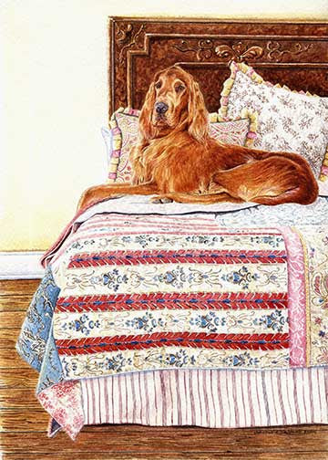 "Bed Warmer" A Limited Edition Irish Setter Print