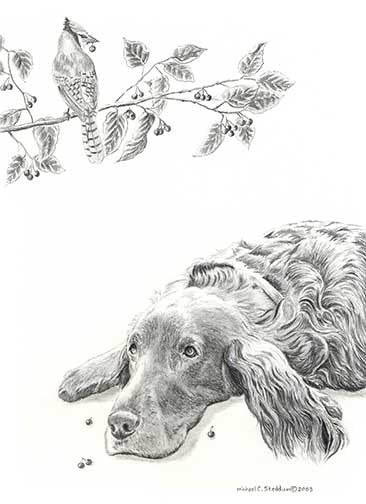 irish setter coloring pages