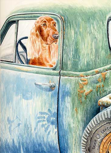 "Expectations" A Limited Edition Irish Setter Print