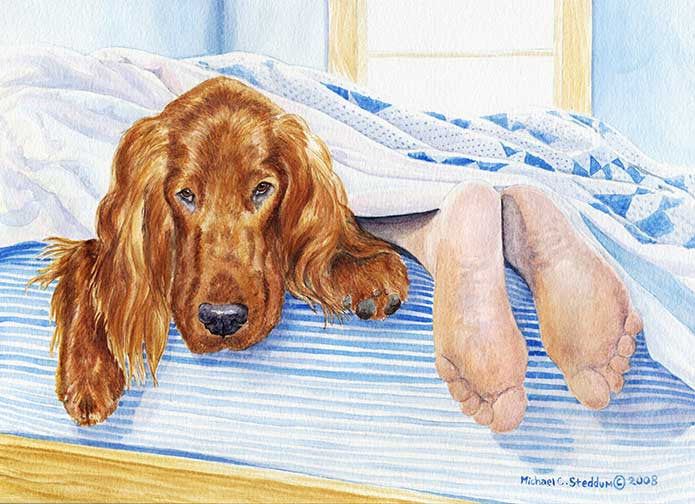 "My Other Feet" A Limited Edition Irish Setter Print