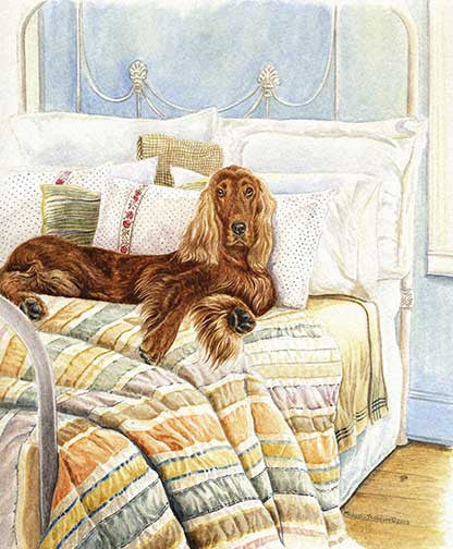 "Sleeping In" A Limited Edition Irish Setter Print