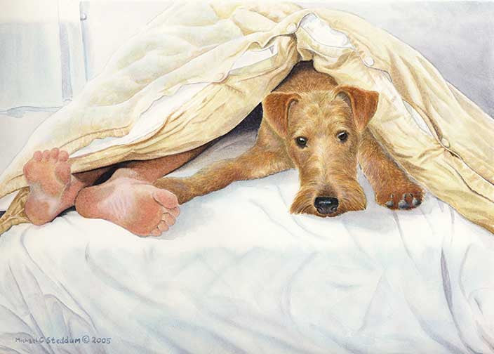 "Irish Terrier Feet" A Limited Edition Print