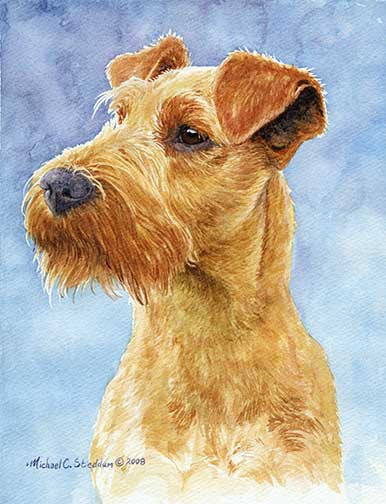 "Irish Terrier Head Study IV" A Limited Edition Print