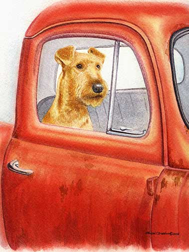 "Sunday Drive" A Limited Edition Irish Terrier Print