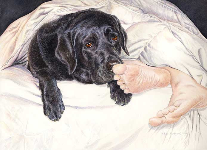 "Lab Feet" A Limited Edition Labrador Retriever Print