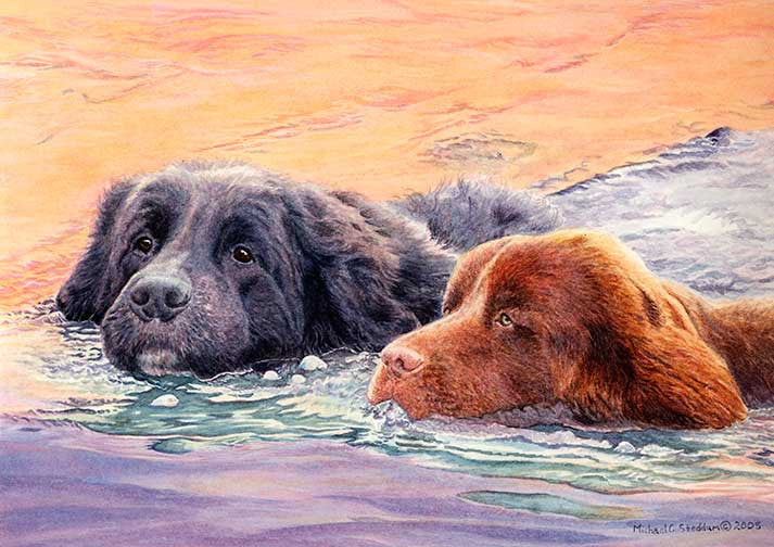 "The Rescuers" A Limited Edition Newfoundland Print