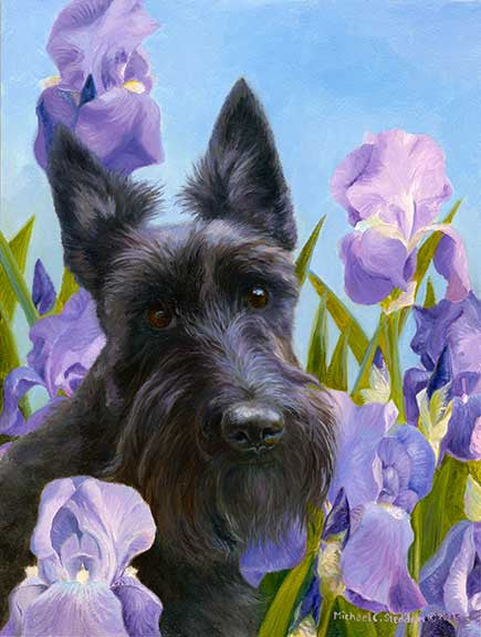 "Harmony" A Limited Edition Scottish Terrier Print