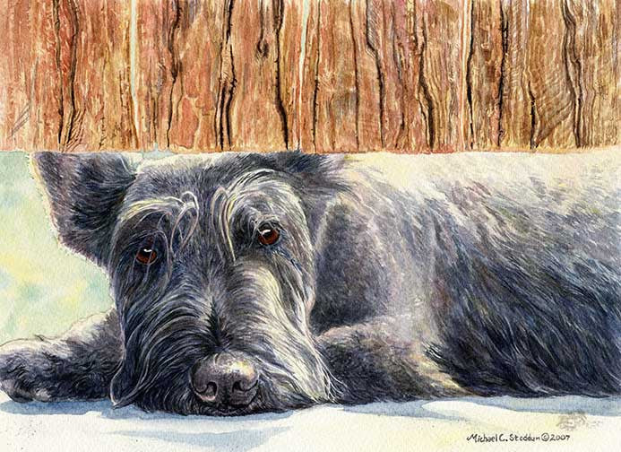 "Scottie Watch" A Limited Edition Scottish Terrier Print