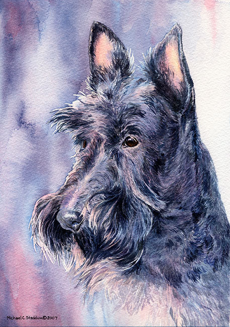 "Head Study II" A Limited Edition Scottish Terrier Print