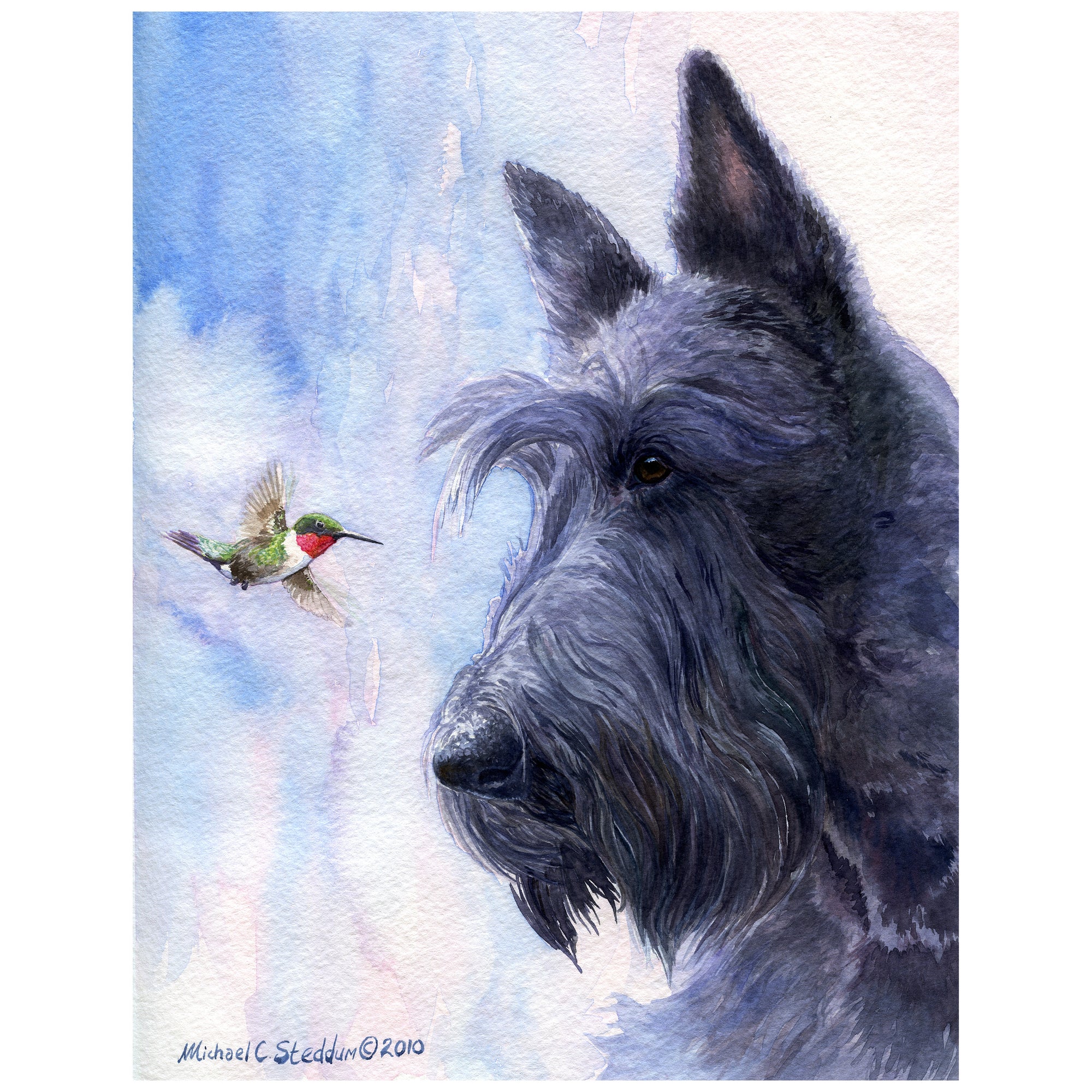 "My Turf" A Scottish Terrier Art Reproduction Print by Michael Steddum - Limited Edition Signed and Numbered Scottish Terrier Art Print - Ideal for a Scottie Gift