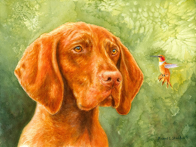 "Bird Dog" Limited Edition Vizsla Print