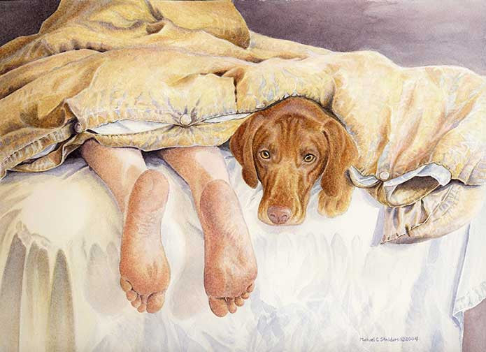 Vizsla feet sales