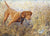 Right There Vizsla Limited Edition Print