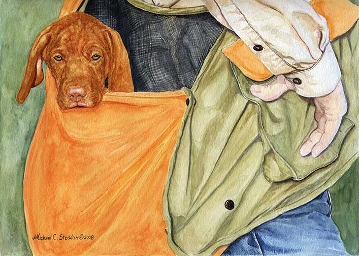 Vizsla in the Bag Limited Edition Print