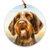 German Wirehaired Pointer "Head Study V" Christmas Ornament